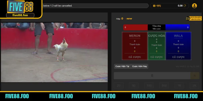 Theo dõi sát sao mọi biến động của tỷ lệ kèo được cung cấp